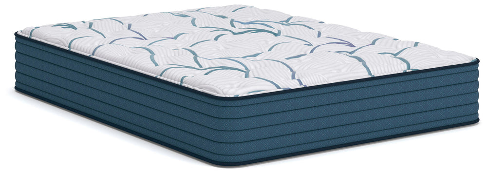 Sleep & Bedding