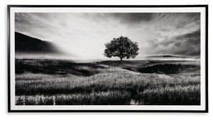Deborland - Arte de pared - Blanco / Negro