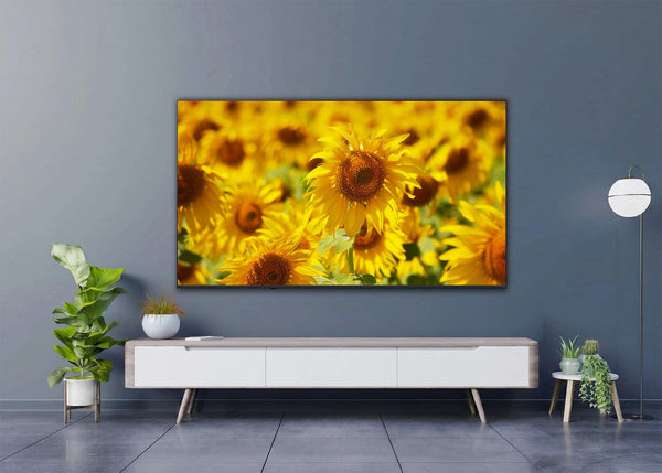 LG - 50" Class 75B Series QNED AI Mini LED 4K Smart webOS TV (2026)