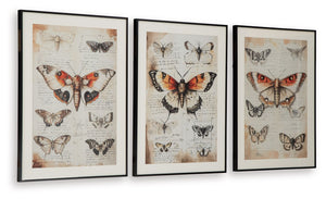 Jossletts - Set de Arte Mural (Juego de 3) - Naranja / Negro / Marfil