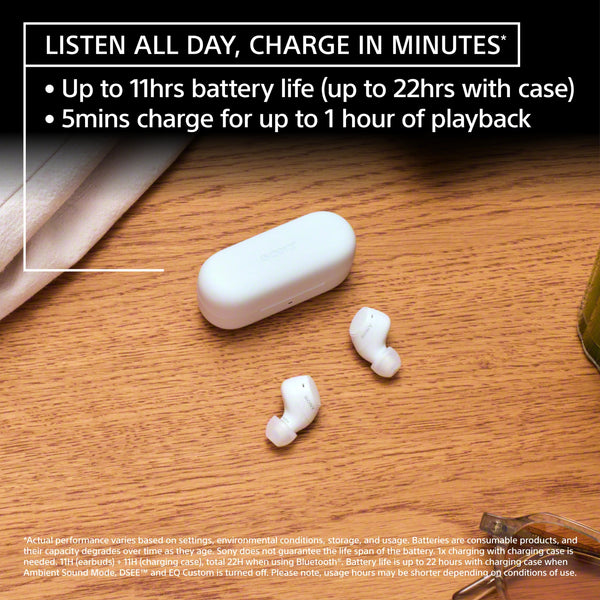 Sony - WFC510 Truly Wireless Earbuds - Blue