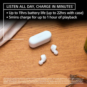 Sony - WFC510 Truly Wireless Earbuds - Black