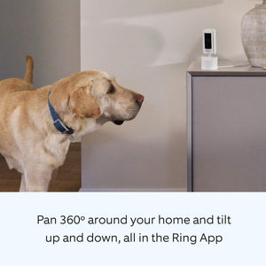 Ring - 3-Pack Pan-Tilt Indoor Security Cam with 360° Horizontal Pan Coverage, Live View & Two-Way Talk, and HD Video - White