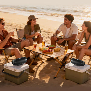 Hisense - Bluetooth Speaker FlexBoom, Up to 20-Hour Playtime, Hands-Free Calling, IP67, Auracast – - Black