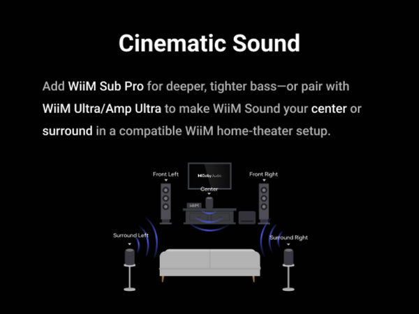 WiiM - Sound Smart Speaker - Black