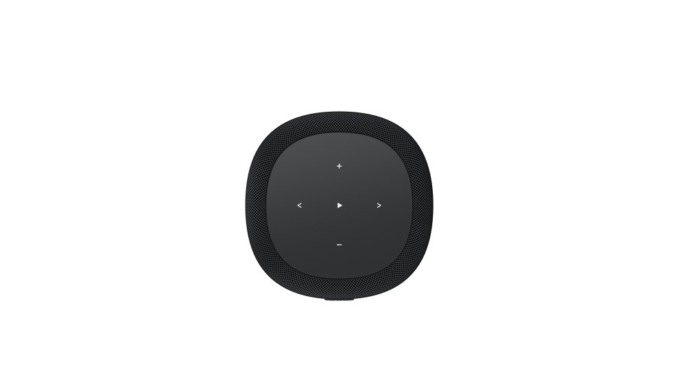 WiiM - Sound Lite Smart Speaker - Black