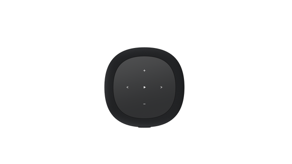 WiiM - Sound Lite Smart Speaker - Black