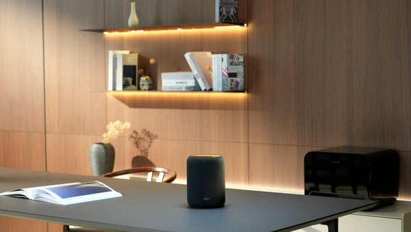 WiiM - Sound Lite Smart Speaker - Black