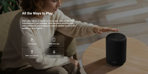 WiiM - Sound Lite Smart Speaker - Black