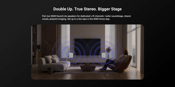 WiiM - Sound Lite Smart Speaker - Black