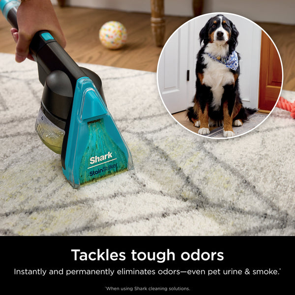 Shark - CarpetXpert HairPro Pet with StainStriker, Corded Upright Deep Carpet, Rug & Upholstery Cleaner, Pet Stain Remover - Gray