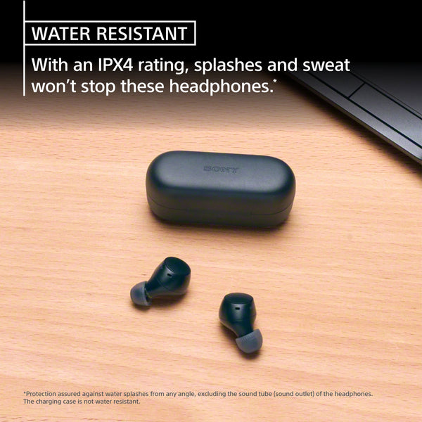 Sony - WFC510 Truly Wireless Earbuds - Black