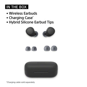 Sony - WFC510 Truly Wireless Earbuds - Blue