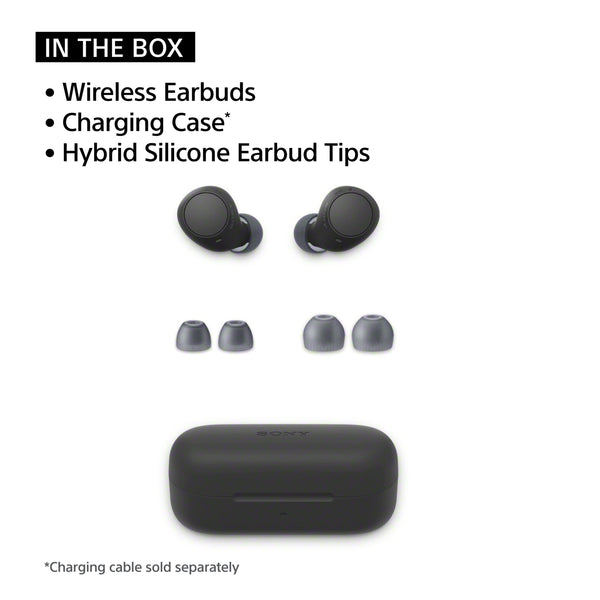 Sony - WFC510 Truly Wireless Earbuds - Blue