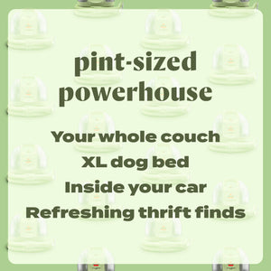 BISSELL - Little Green Mini Portable Carpet Cleaner - Tea