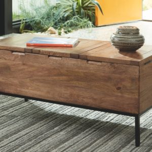Braddick - Light Brown / Black - Storage Trunk
