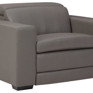 Texline - Gray - Pwr Recliner/Adj Headrest