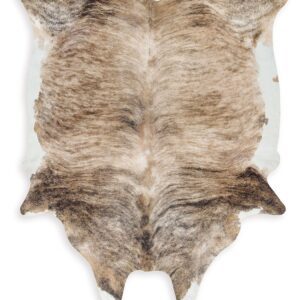 Sportsmen - Brown - Medium Rug