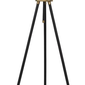 Cashner - Black / Gold Finish - Metal Floor Lamp